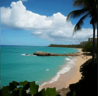 Puerto Rico day beach Enano profile picture